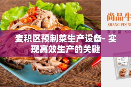 麦积区预制菜生产设备- 实现高效生产的关键