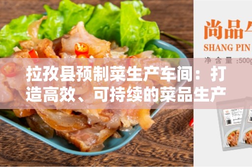 拉孜县预制菜生产车间：打造高效、可持续的菜品生产基地