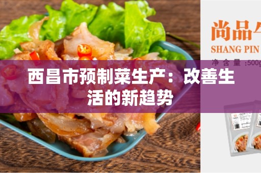 西昌市预制菜生产：改善生活的新趋势
