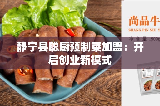 静宁县聪厨预制菜加盟：开启创业新模式