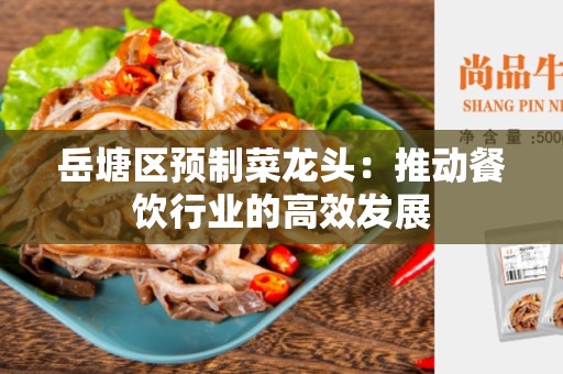 岳塘区预制菜龙头：推动餐饮行业的高效发展