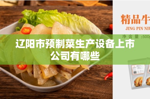 辽阳市预制菜生产设备上市公司有哪些