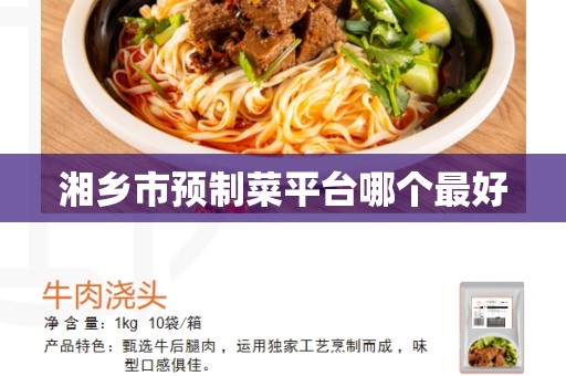 湘乡市预制菜平台哪个最好