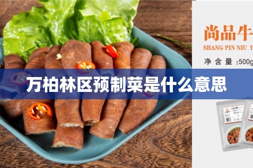 万柏林区预制菜是什么意思