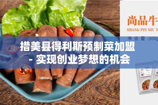 措美县得利斯预制菜加盟 - 实现创业梦想的机会