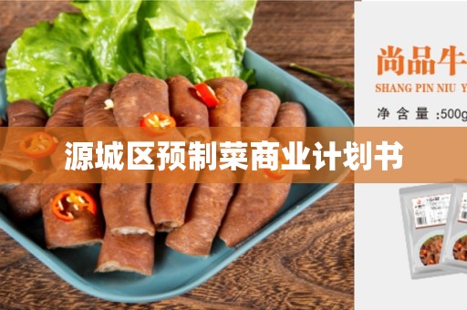 源城区预制菜商业计划书