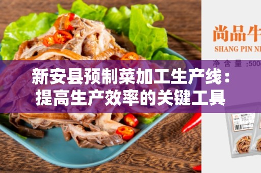 新安县预制菜加工生产线：提高生产效率的关键工具