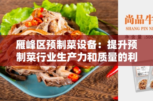 雁峰区预制菜设备：提升预制菜行业生产力和质量的利器
