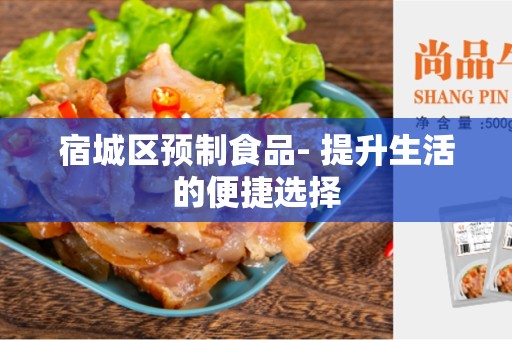 宿城区预制食品- 提升生活的便捷选择