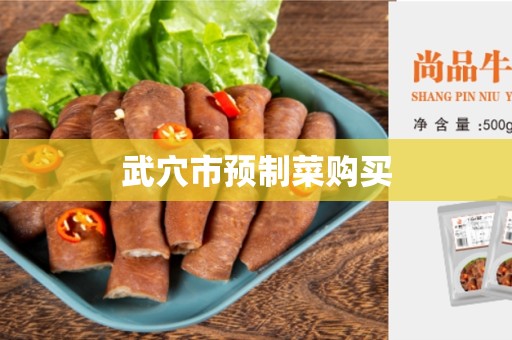 武穴市预制菜购买