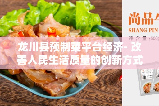 龙川县预制菜平台经济- 改善人民生活质量的创新方式