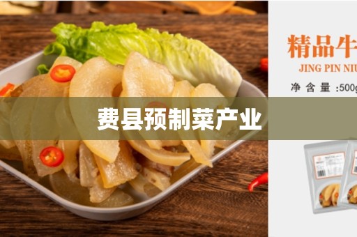 费县预制菜产业