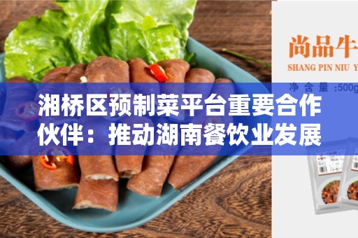 湘桥区预制菜平台重要合作伙伴：推动湖南餐饮业发展的关键力量