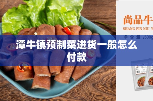 潭牛镇预制菜进货一般怎么付款