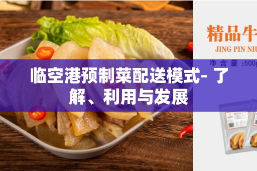 临空港预制菜配送模式- 了解、利用与发展