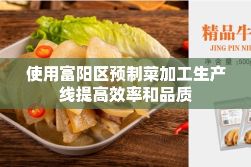 使用富阳区预制菜加工生产线提高效率和品质