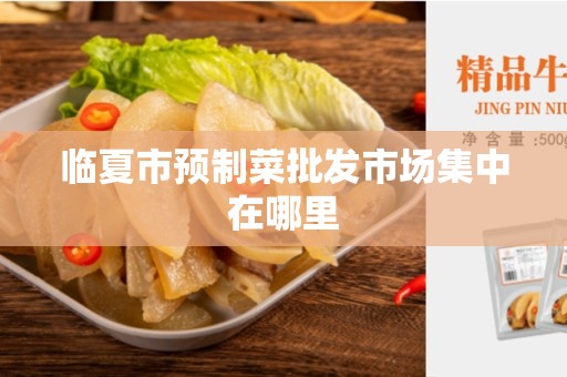 临夏市预制菜批发市场集中在哪里