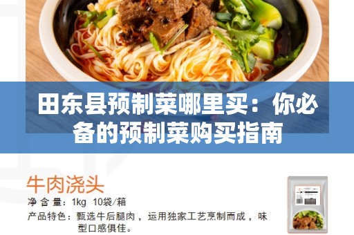田东县预制菜哪里买：你必备的预制菜购买指南