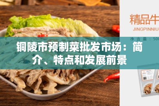 铜陵市预制菜批发市场：简介、特点和发展前景