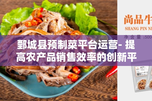 鄄城县预制菜平台运营- 提高农产品销售效率的创新平台