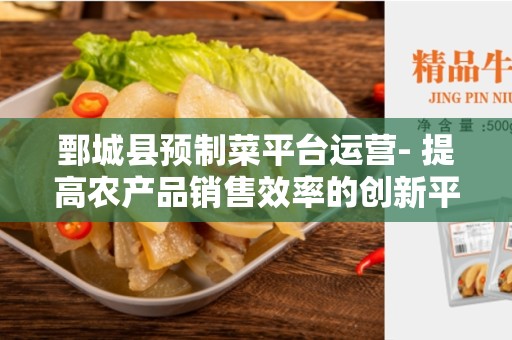 鄄城县预制菜平台运营- 提高农产品销售效率的创新平台