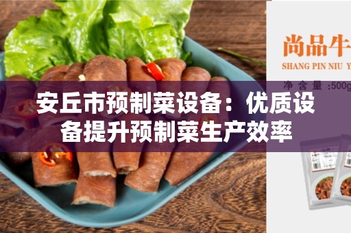 安丘市预制菜设备：优质设备提升预制菜生产效率