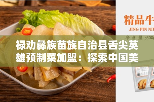禄劝彝族苗族自治县舌尖英雄预制菜加盟：探索中国美食文化的新机遇