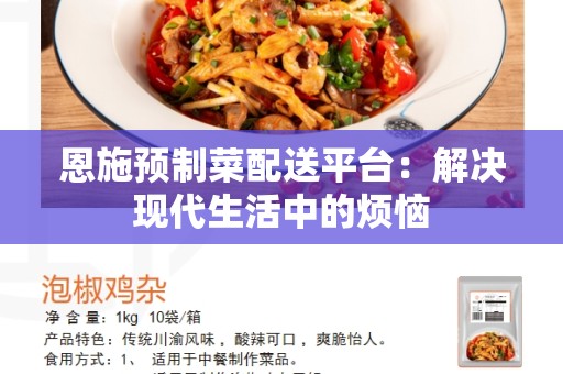 恩施预制菜配送平台：解决现代生活中的烦恼