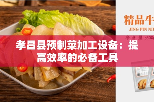 孝昌县预制菜加工设备：提高效率的必备工具
