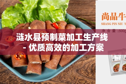 涟水县预制菜加工生产线 - 优质高效的加工方案