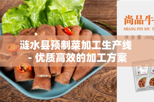 涟水县预制菜加工生产线 - 优质高效的加工方案