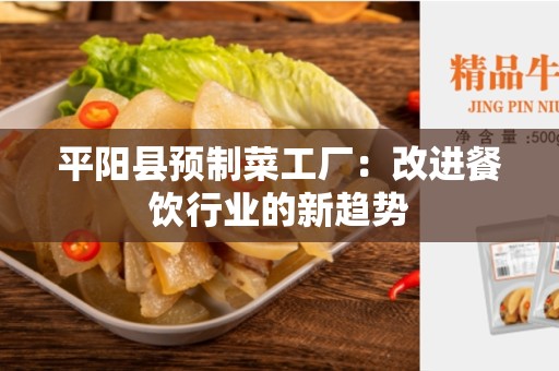 平阳县预制菜工厂：改进餐饮行业的新趋势