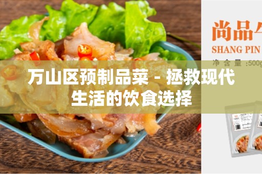 万山区预制品菜 - 拯救现代生活的饮食选择