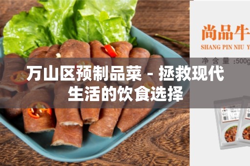 万山区预制品菜 - 拯救现代生活的饮食选择