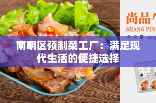 南明区预制菜工厂：满足现代生活的便捷选择