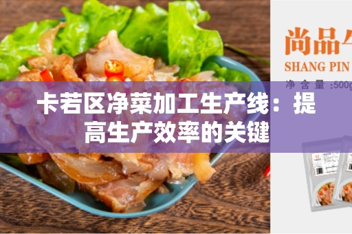 卡若区净菜加工生产线：提高生产效率的关键