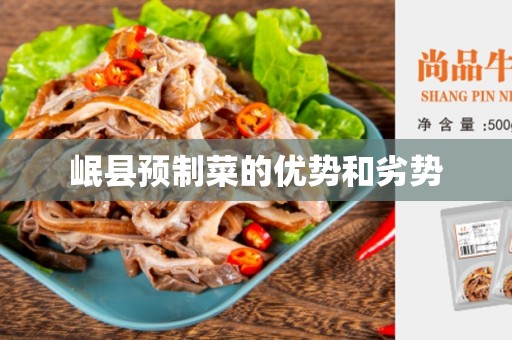 岷县预制菜的优势和劣势