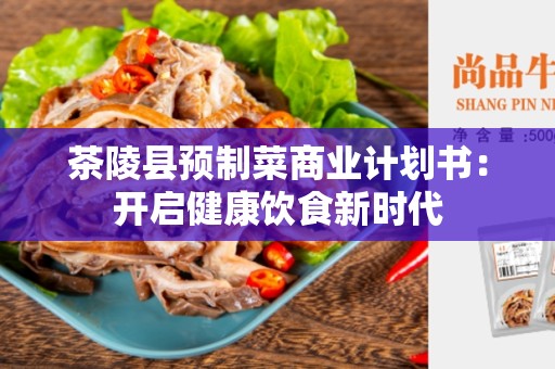 茶陵县预制菜商业计划书：开启健康饮食新时代