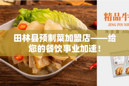 田林县预制菜加盟店——给您的餐饮事业加速！