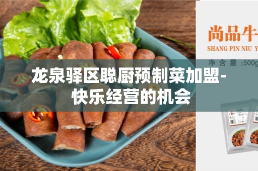 龙泉驿区聪厨预制菜加盟- 快乐经营的机会