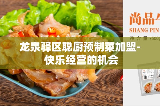 龙泉驿区聪厨预制菜加盟- 快乐经营的机会