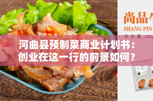 河曲县预制菜商业计划书：创业在这一行的前景如何？