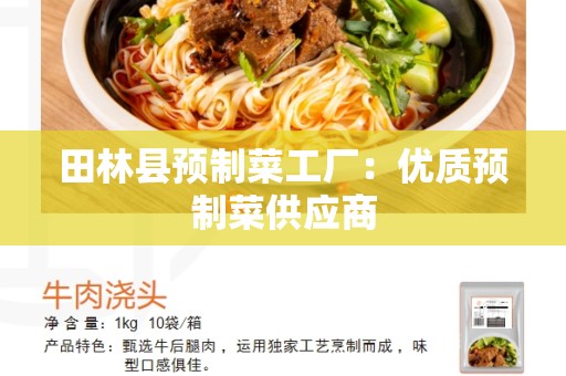 田林县预制菜工厂：优质预制菜供应商
