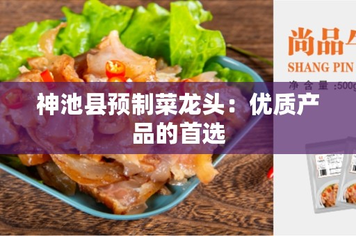 神池县预制菜龙头：优质产品的首选
