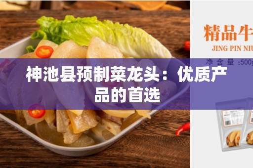 神池县预制菜龙头：优质产品的首选