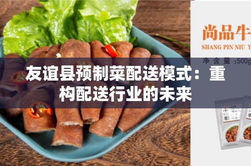 友谊县预制菜配送模式：重构配送行业的未来