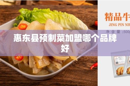 惠东县预制菜加盟哪个品牌好