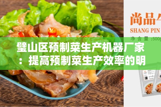 璧山区预制菜生产机器厂家：提高预制菜生产效率的明智选择