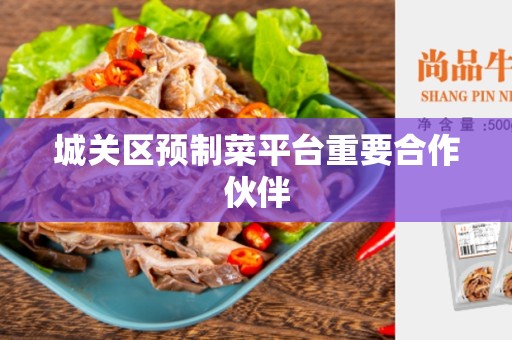 城关区预制菜平台重要合作伙伴