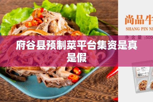 府谷县预制菜平台集资是真是假